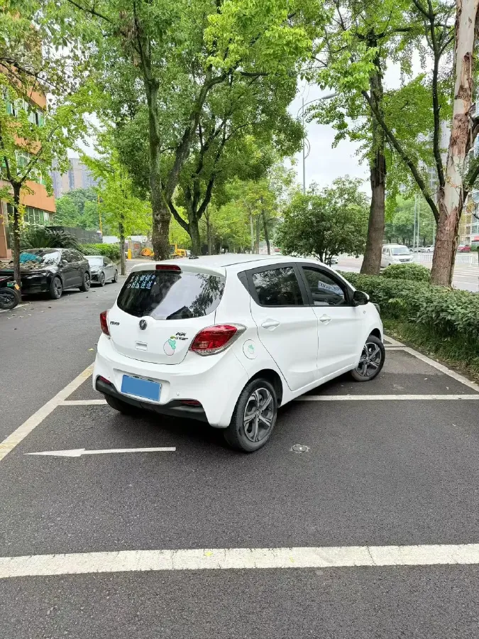 2020 ChangAn BenBen E-Star BEV 32.2KWH,autocango,china used car exporter,china ev exporter,chinese used car exporter,chinese used ev exporter