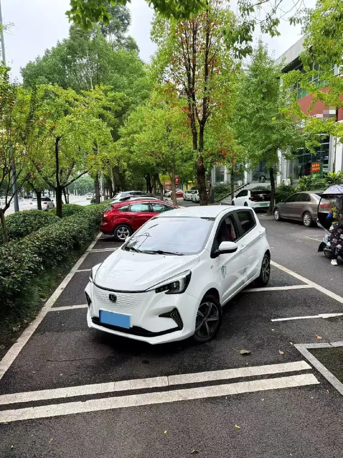 2020 ChangAn BenBen E-Star BEV 32.2KWH,autocango,china used car exporter,china ev exporter,chinese used car exporter,chinese used ev exporter