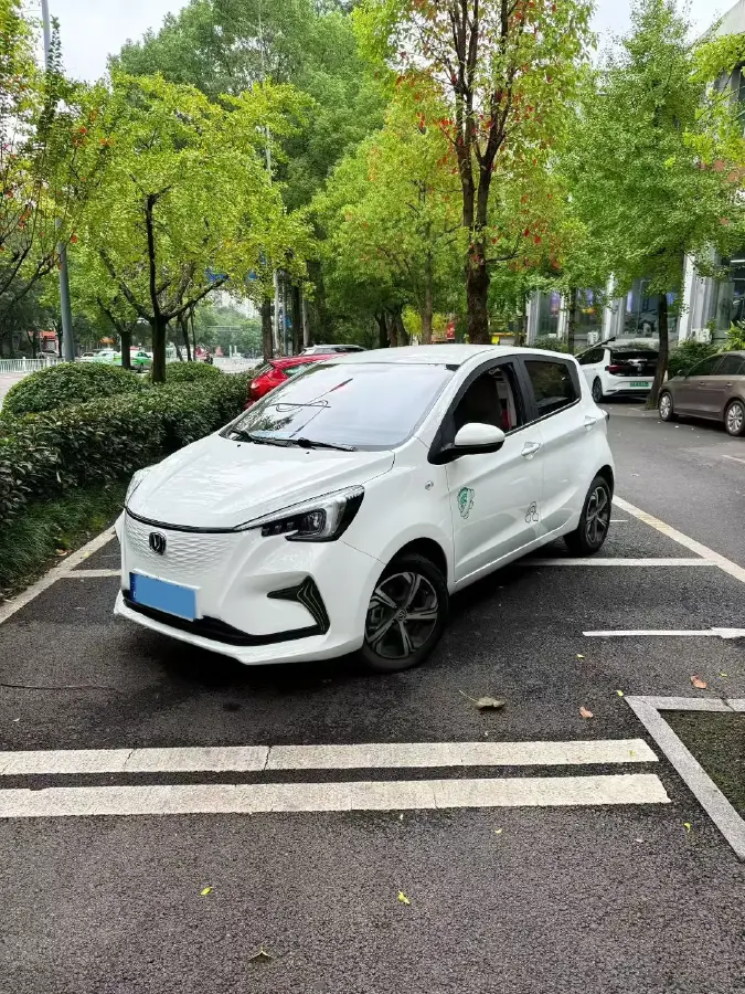 2020 ChangAn BenBen E-Star BEV 32.2KWH