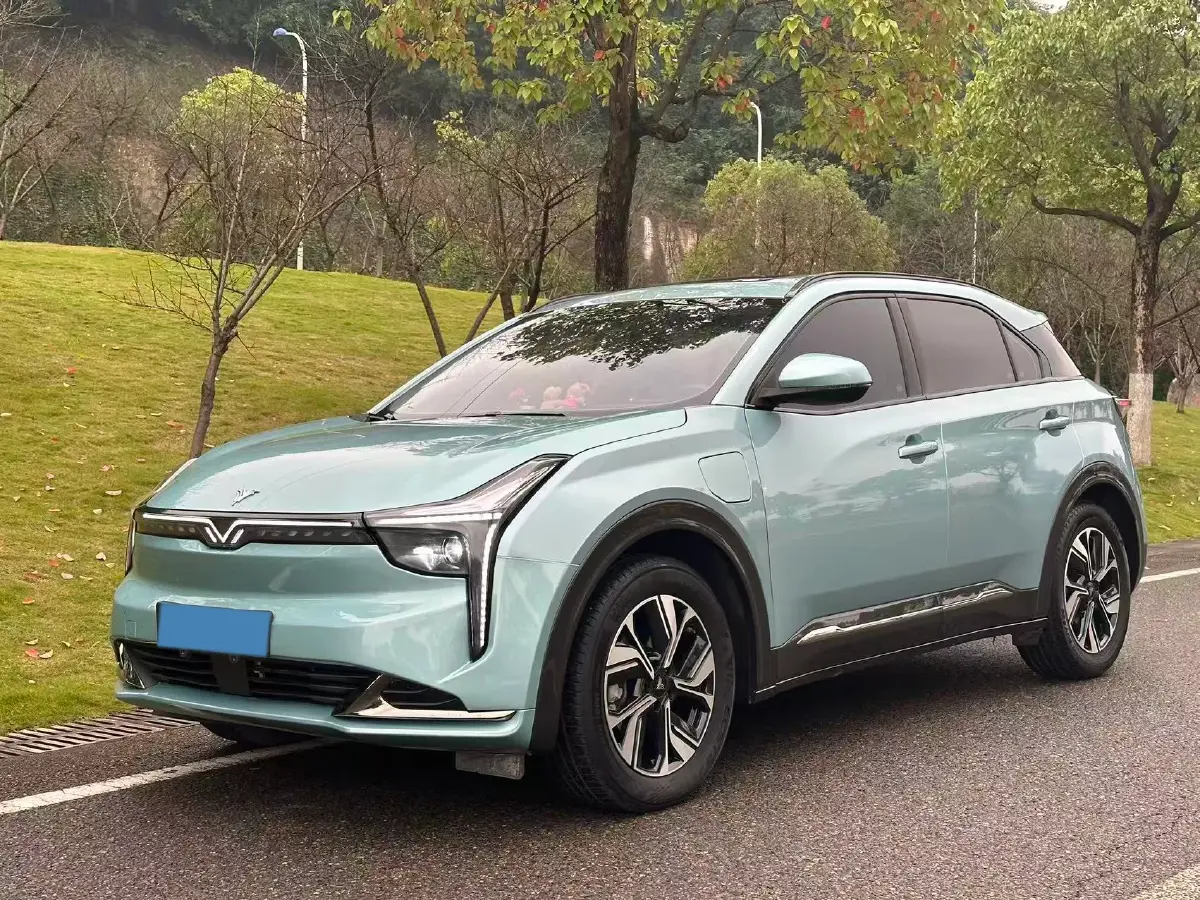 2022 Neta U BEV 55.8KWH