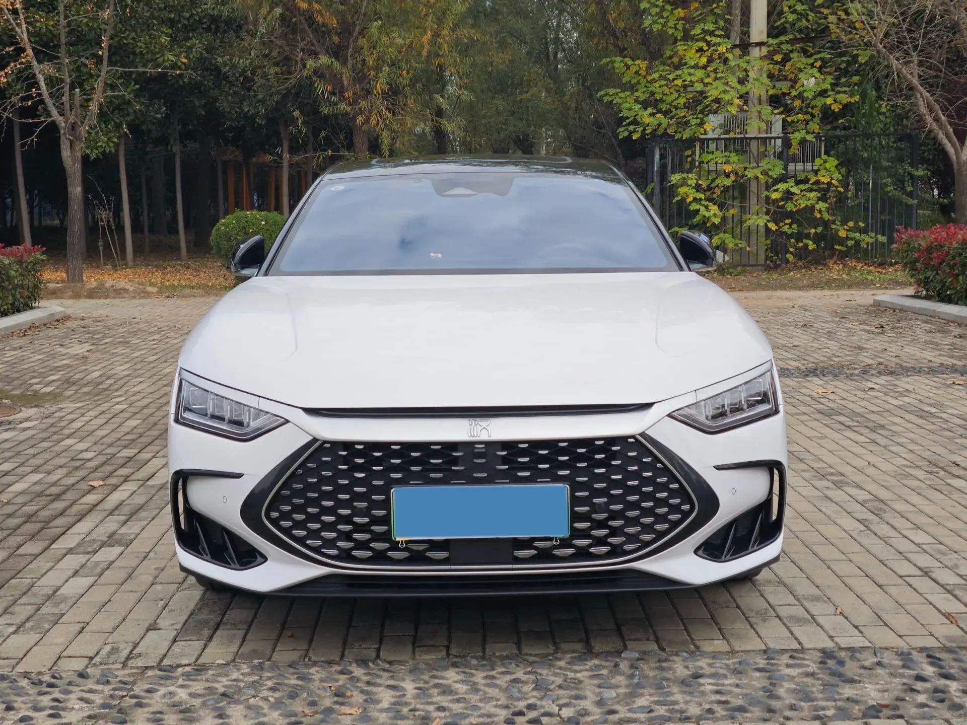 2022 BYD HAN thumbnail 2