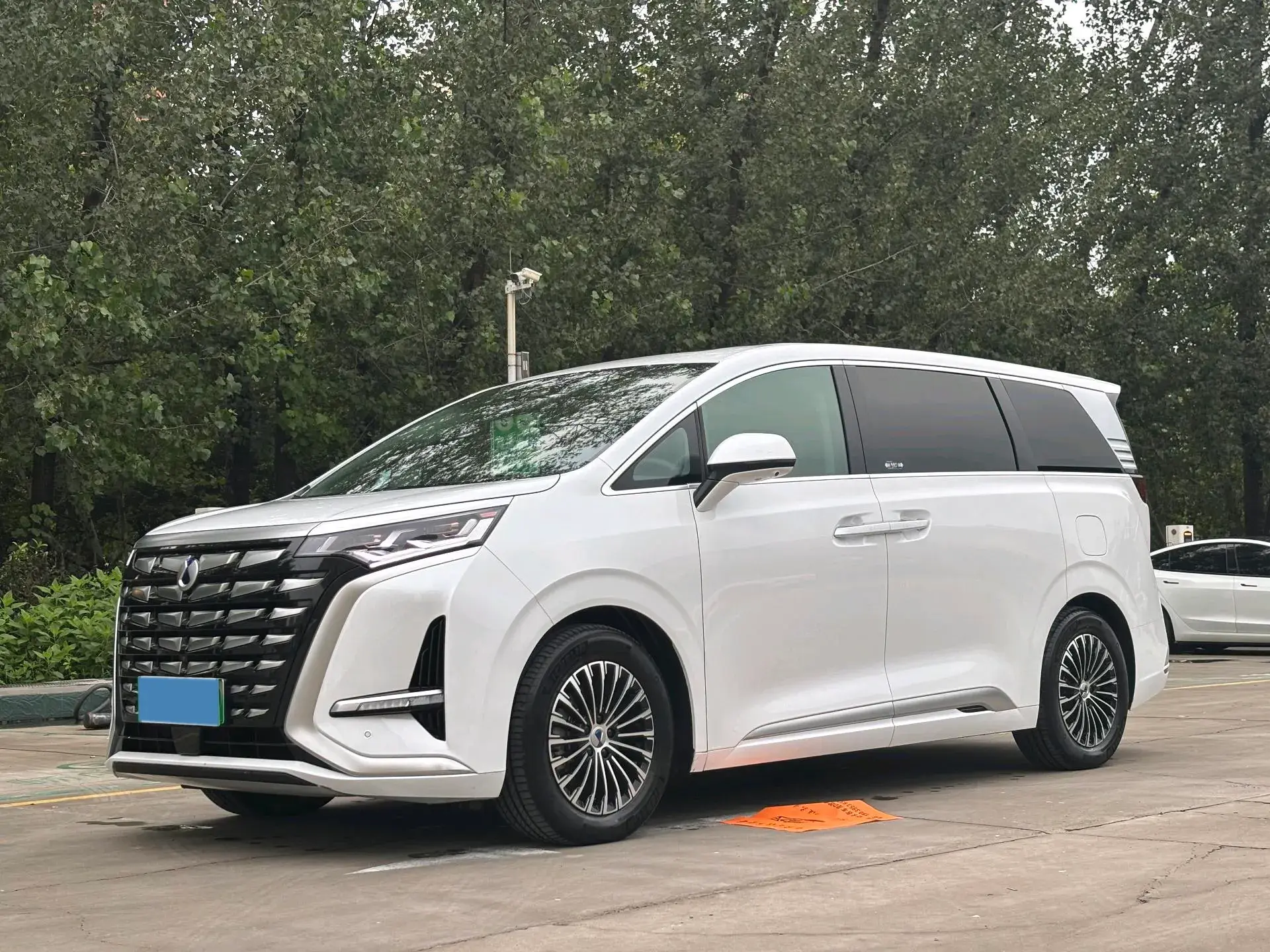 2022 DENZA D9 view 1