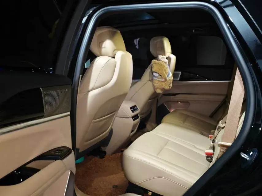 2025 CADILLAC XT5 thumbnail 4