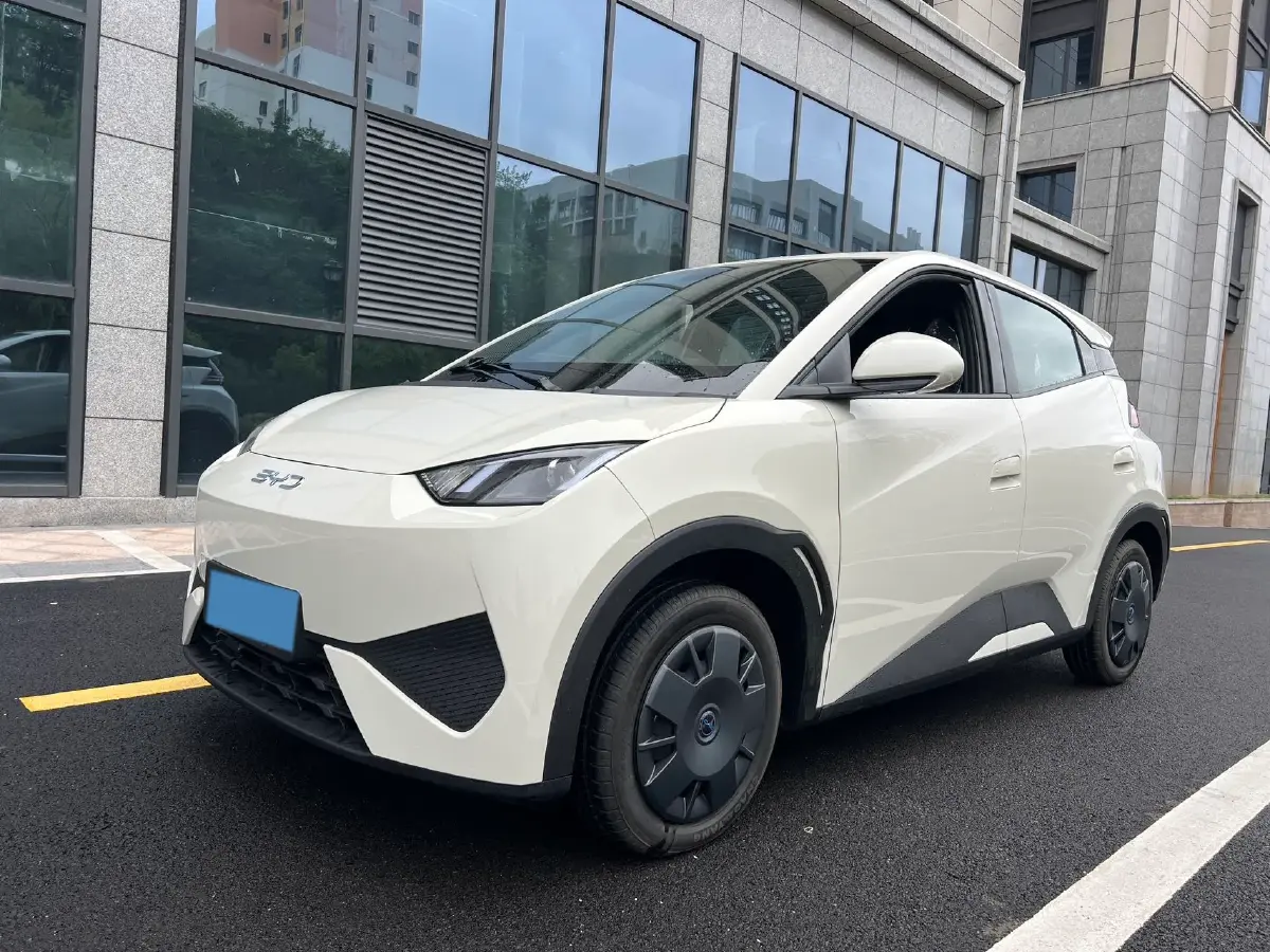 2025 BYD Seagull BEV 30.08KWH