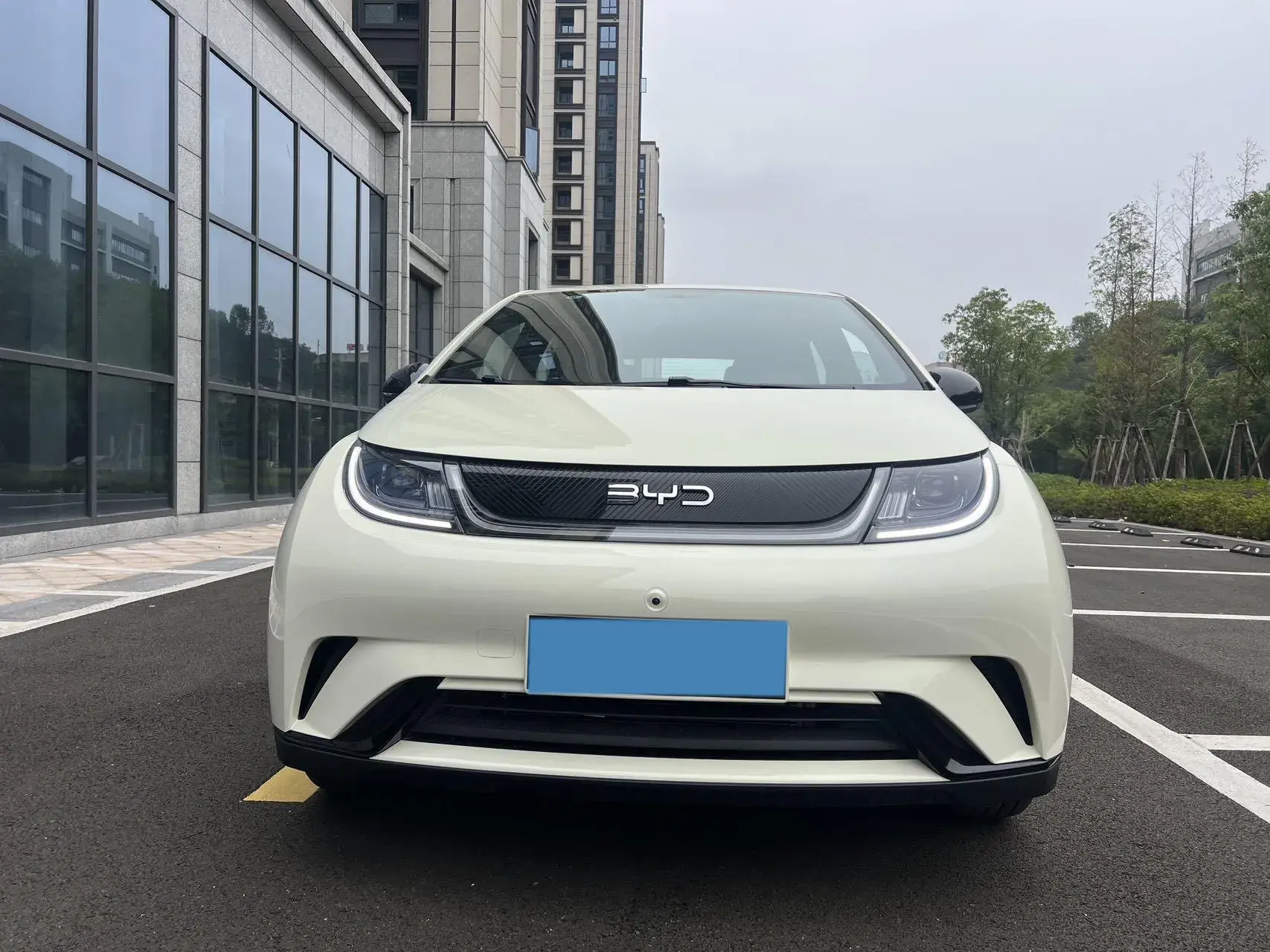 2025 BYD DOLPHIN thumbnail 2