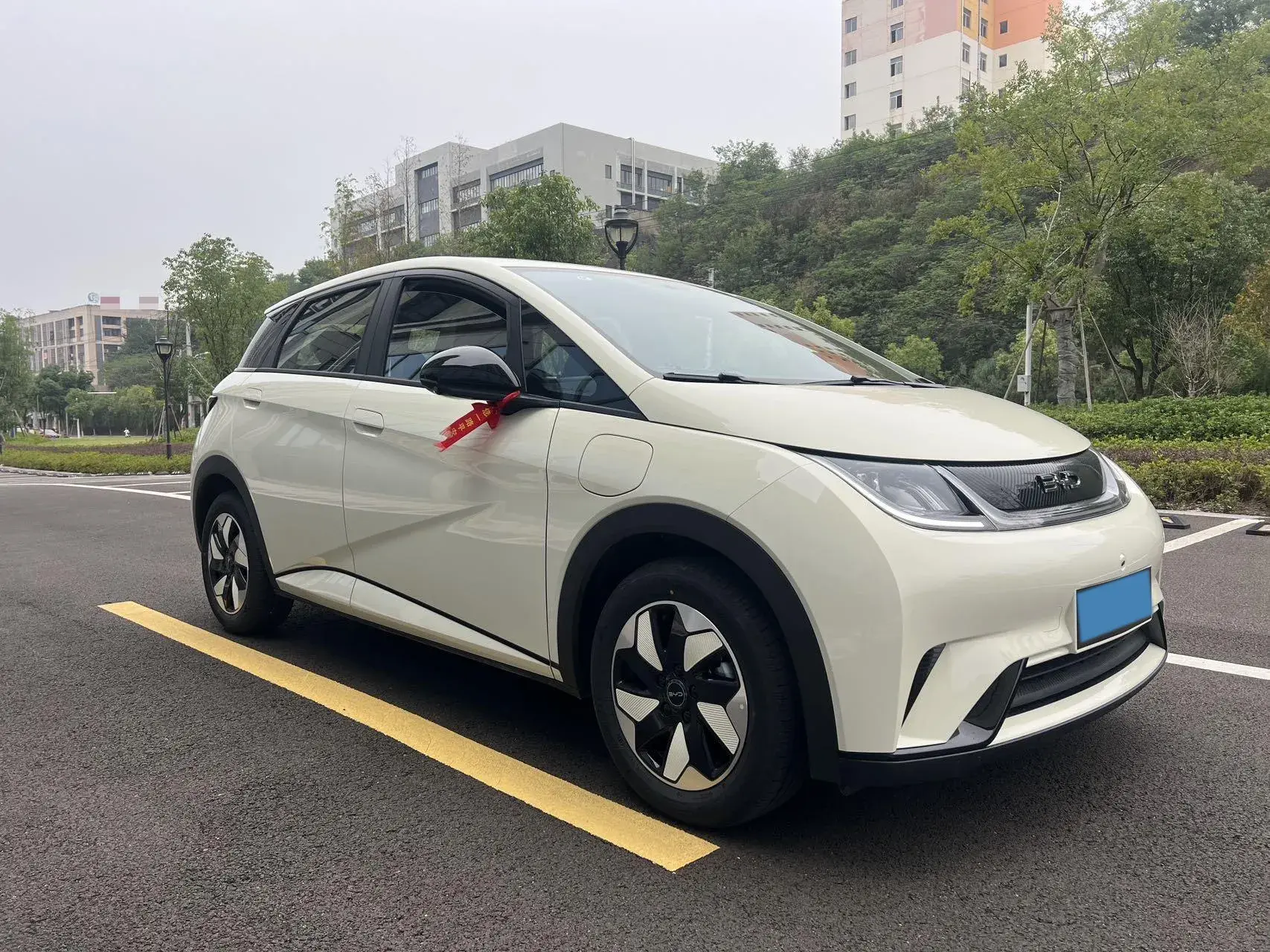 2025 BYD DOLPHIN thumbnail 3