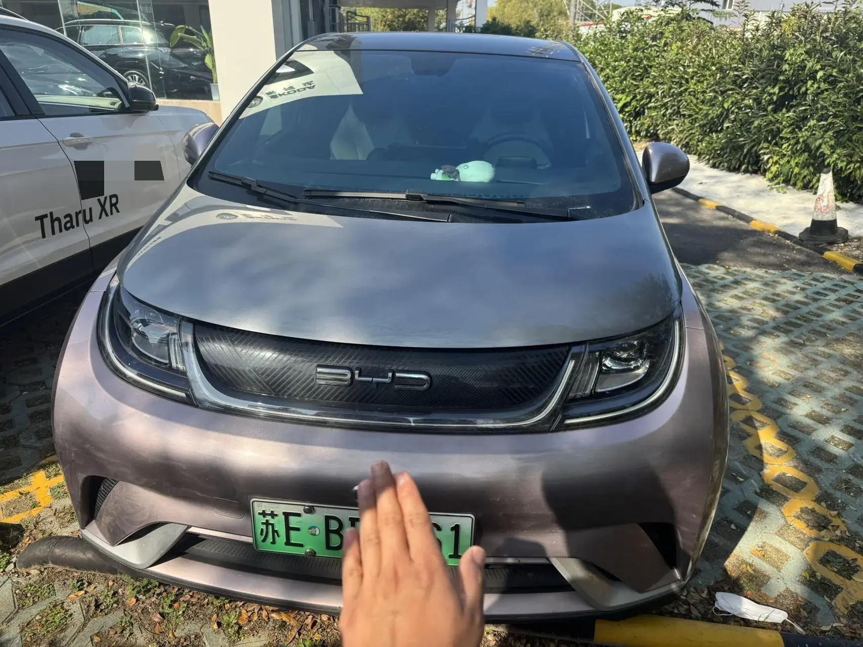 2021 BYD DOLPHIN thumbnail 2