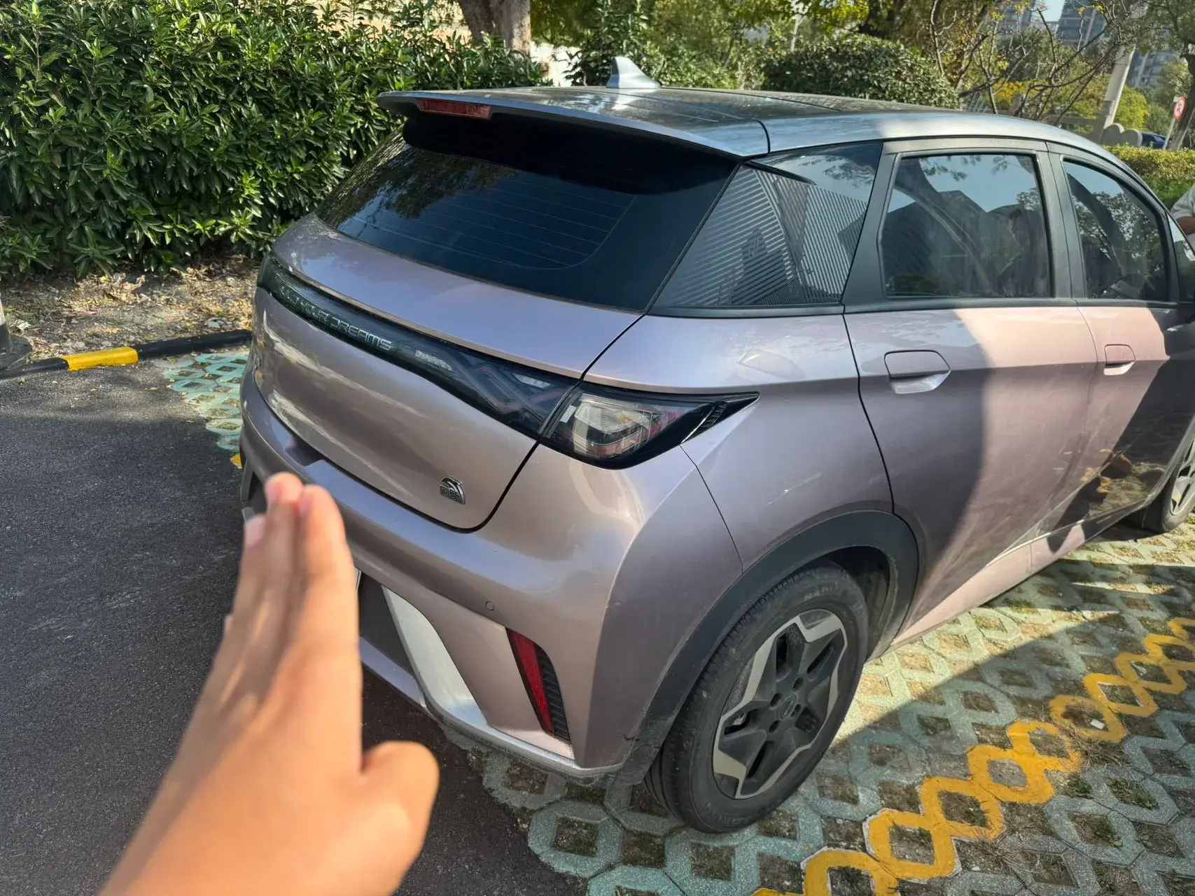 2021 BYD DOLPHIN thumbnail 3