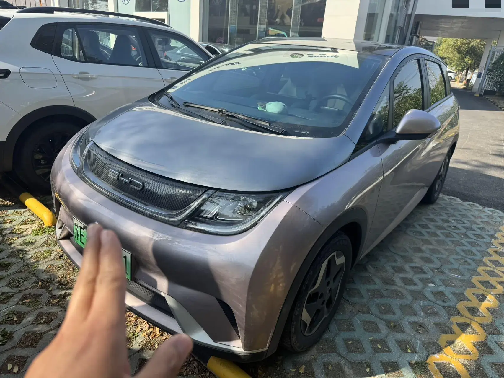 2021 BYD DOLPHIN view 1