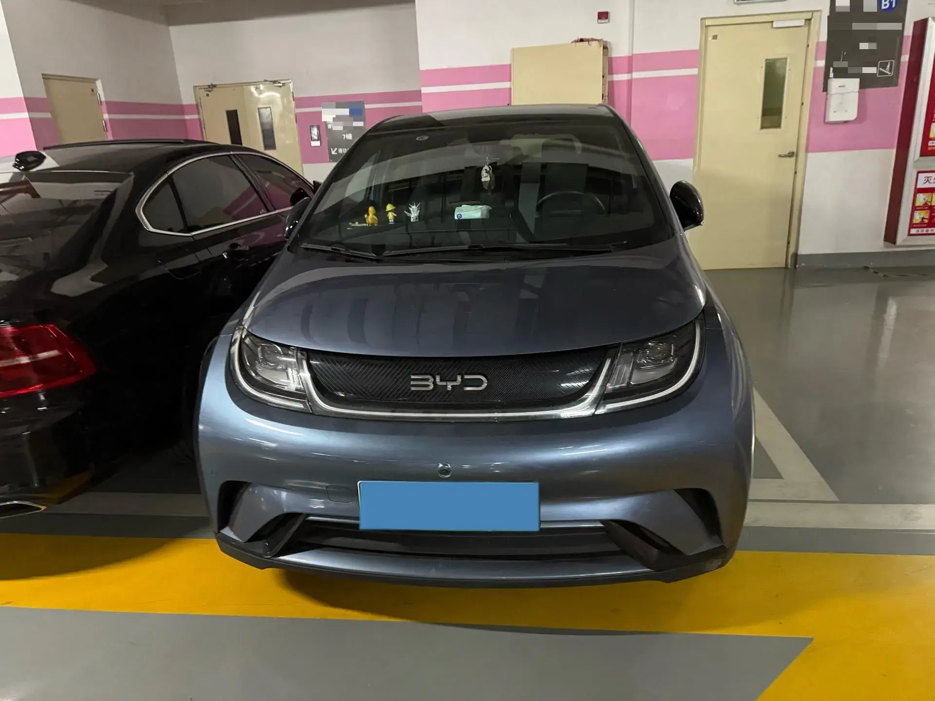 2023 BYD DOLPHIN thumbnail 2