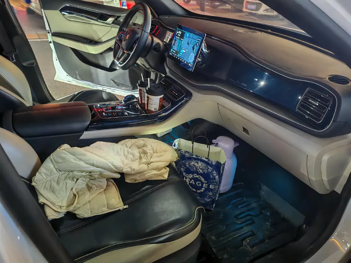 2021 BYD Qin Plus BEV 57KWH,autocango,china used car exporter,china ev exporter,chinese used car exporter,chinese used ev exporter