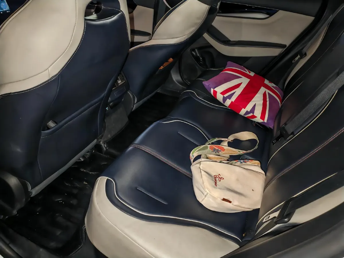 2021 BYD Qin Plus BEV 57KWH,autocango,china used car exporter,china ev exporter,chinese used car exporter,chinese used ev exporter