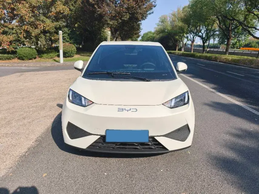 2025 BYD SEAGULL thumbnail 2