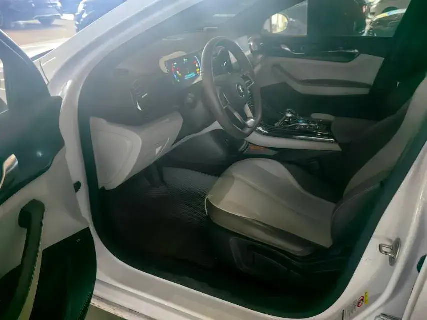 2024 BYD QIN thumbnail 2