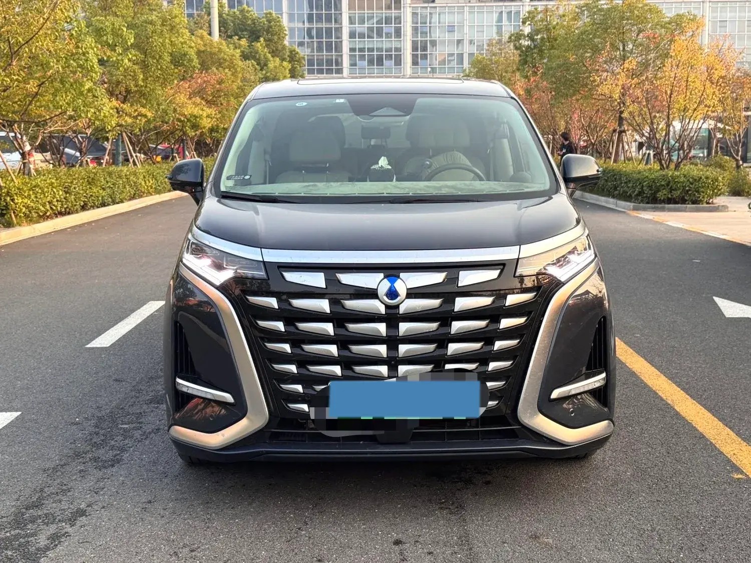 2022 DENZA D9 thumbnail 2