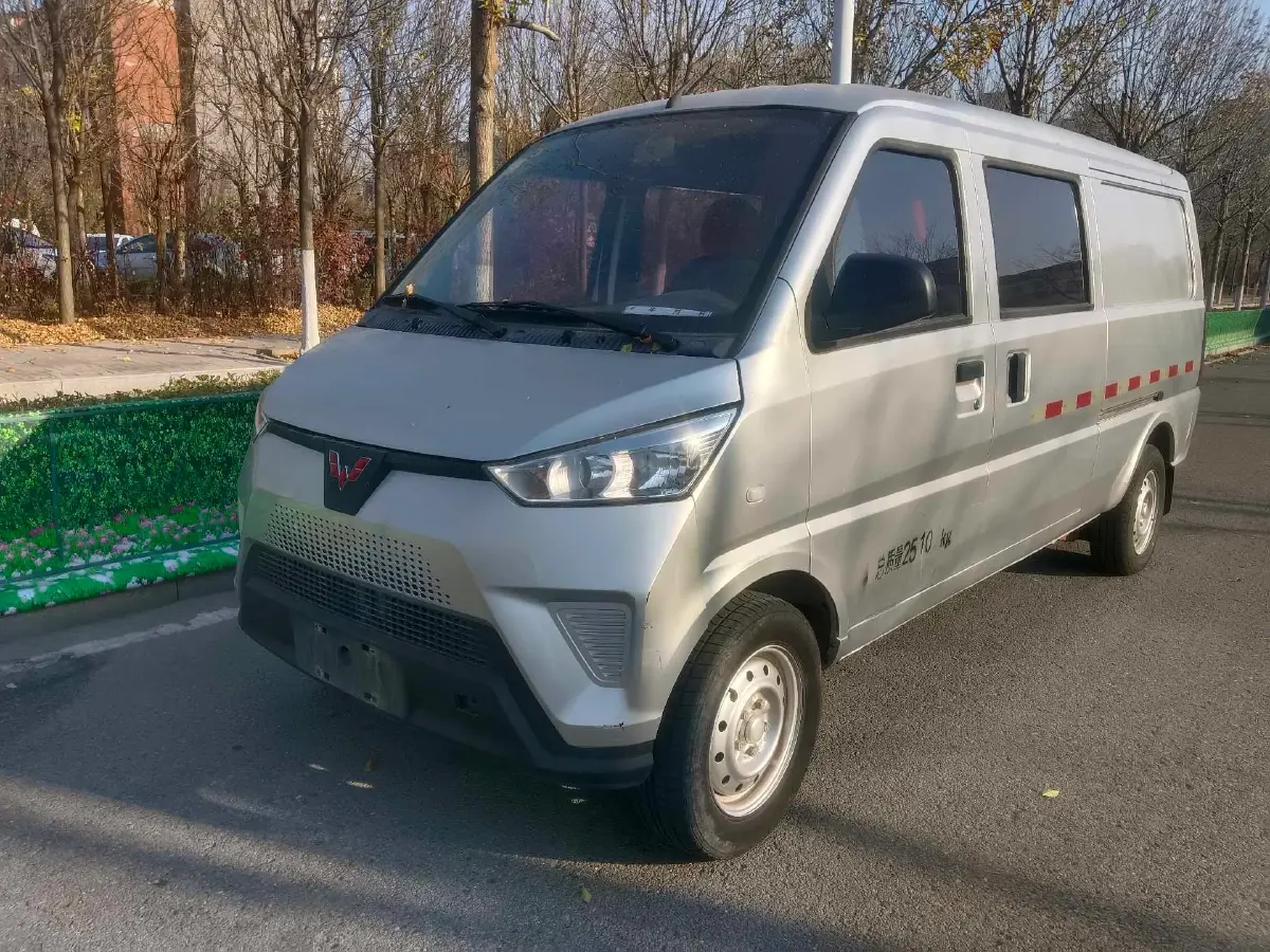 2020 WuLing EV50 BEV 43.2KWH