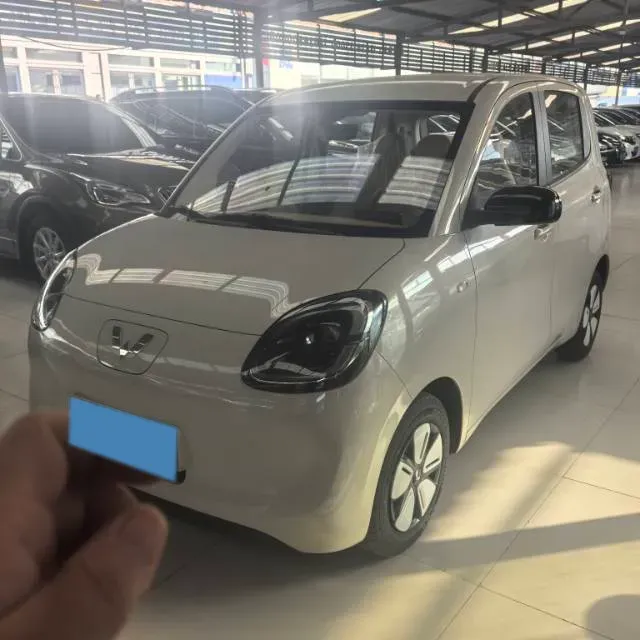 2025 WuLing HongGuang MINI EV BEV 16.2KWH,autocango,china used car exporter,china ev exporter,chinese used car exporter,chinese used ev exporter