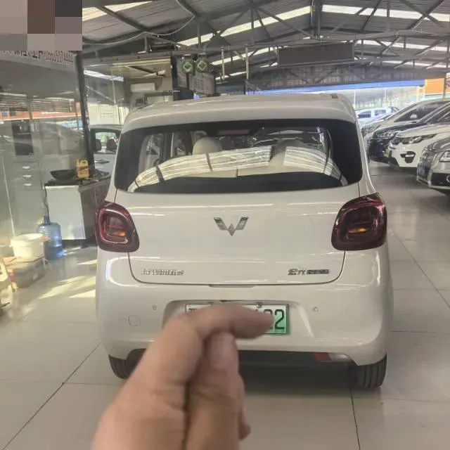 2025 WuLing HongGuang MINI EV BEV 16.2KWH,autocango,china used car exporter,china ev exporter,chinese used car exporter,chinese used ev exporter