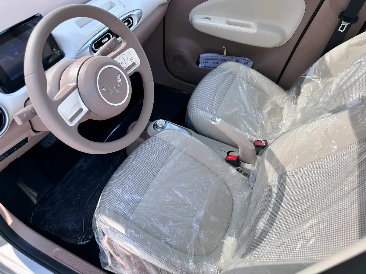 2025 WuLing HongGuang MINI EV BEV 16.2KWH,autocango,china used car exporter,china ev exporter,chinese used car exporter,chinese used ev exporter