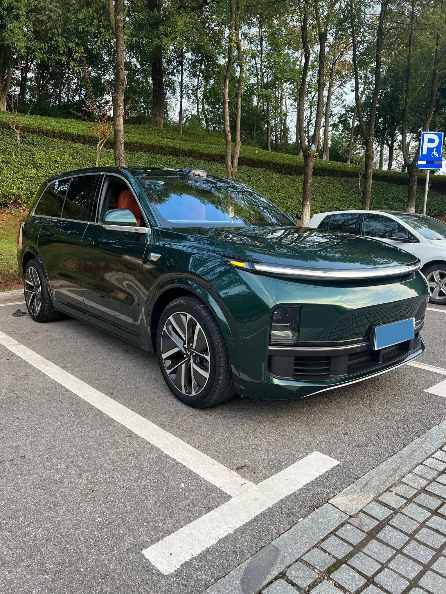 2024 LI L9 thumbnail 3