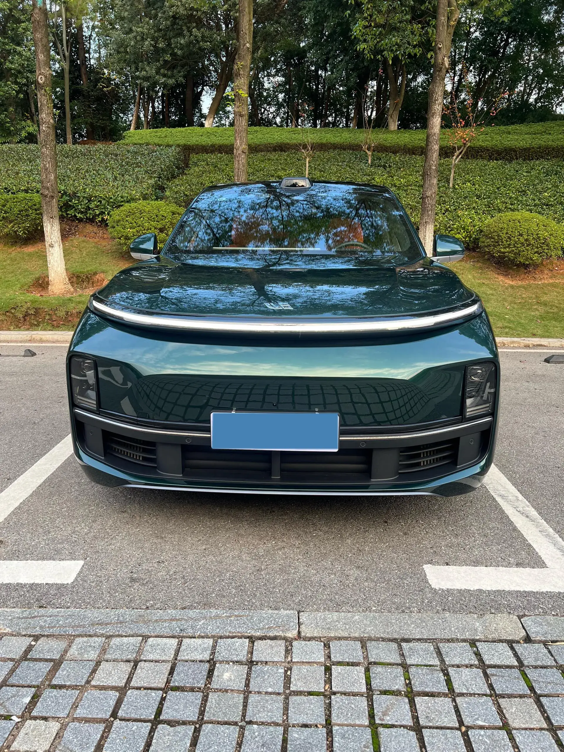 2024 LI L9 thumbnail 2