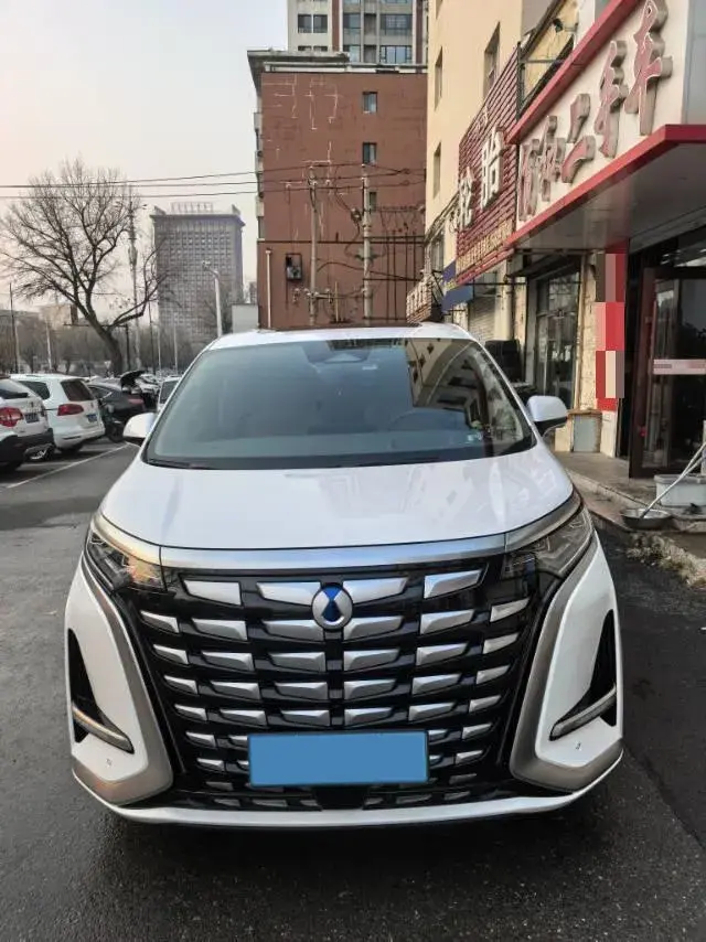 2022 DENZA D9 thumbnail 4