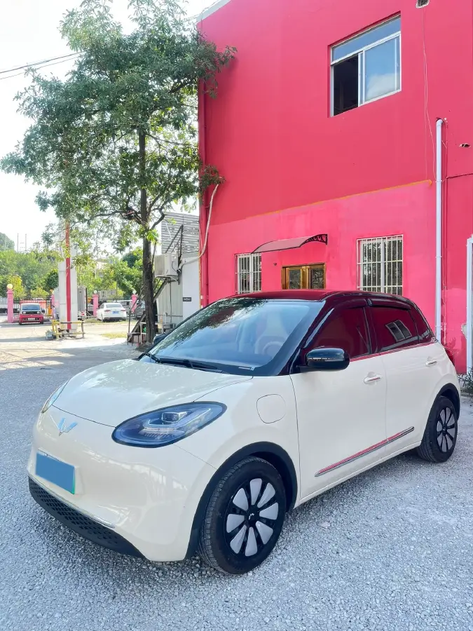 2025 WuLing BinGuo BEV