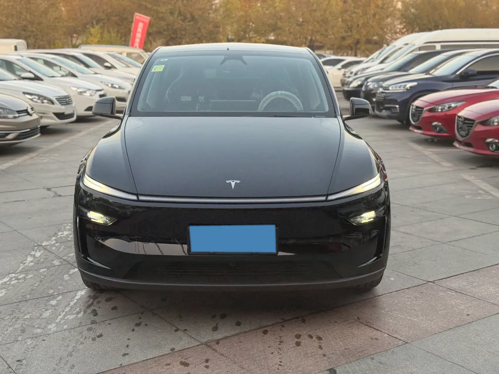 2025 TESLA MODEL thumbnail 2