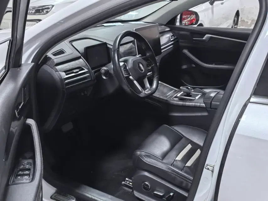 2019 BYD QIN thumbnail 2