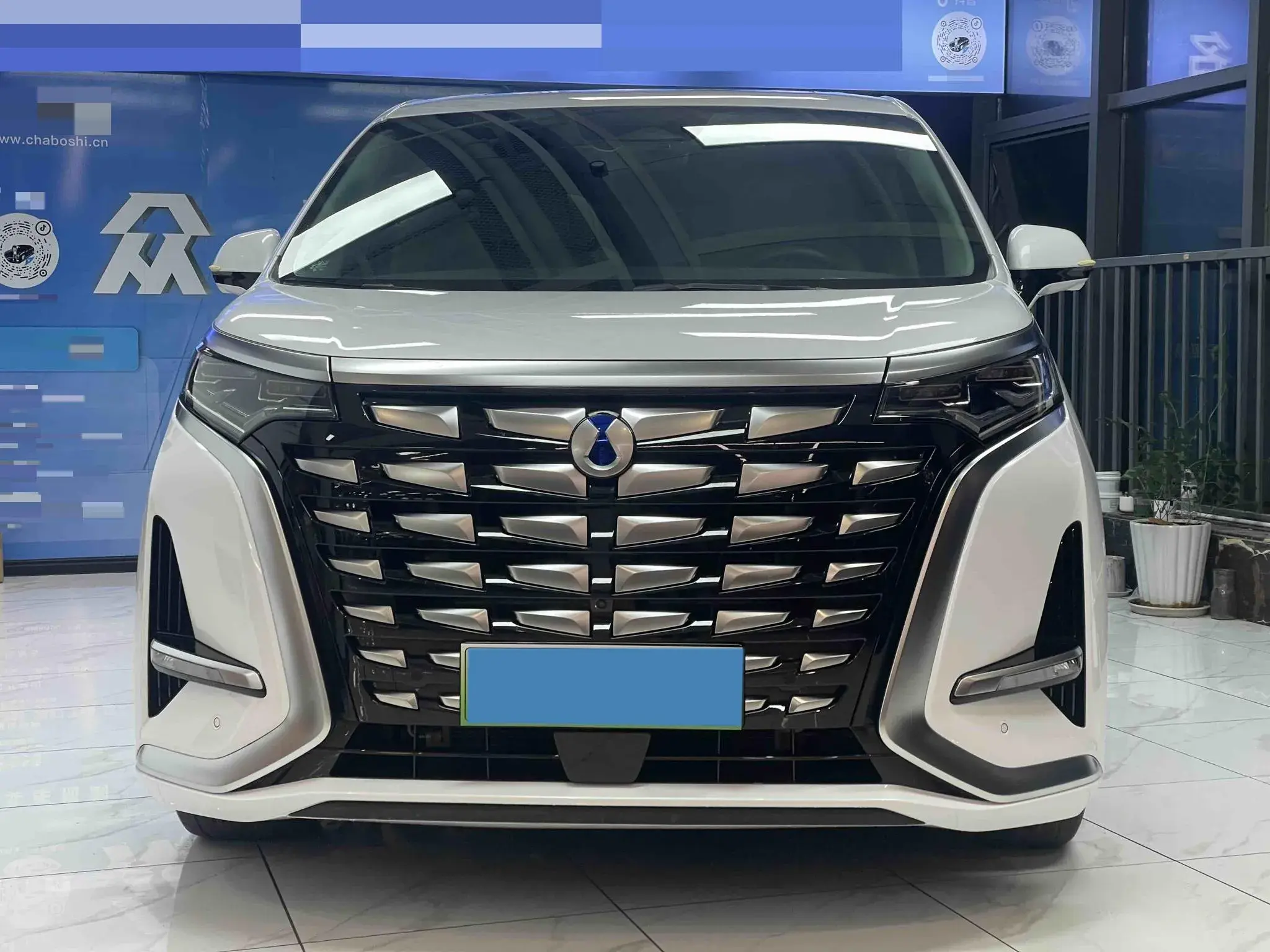 2024 DENZA D9 thumbnail 2