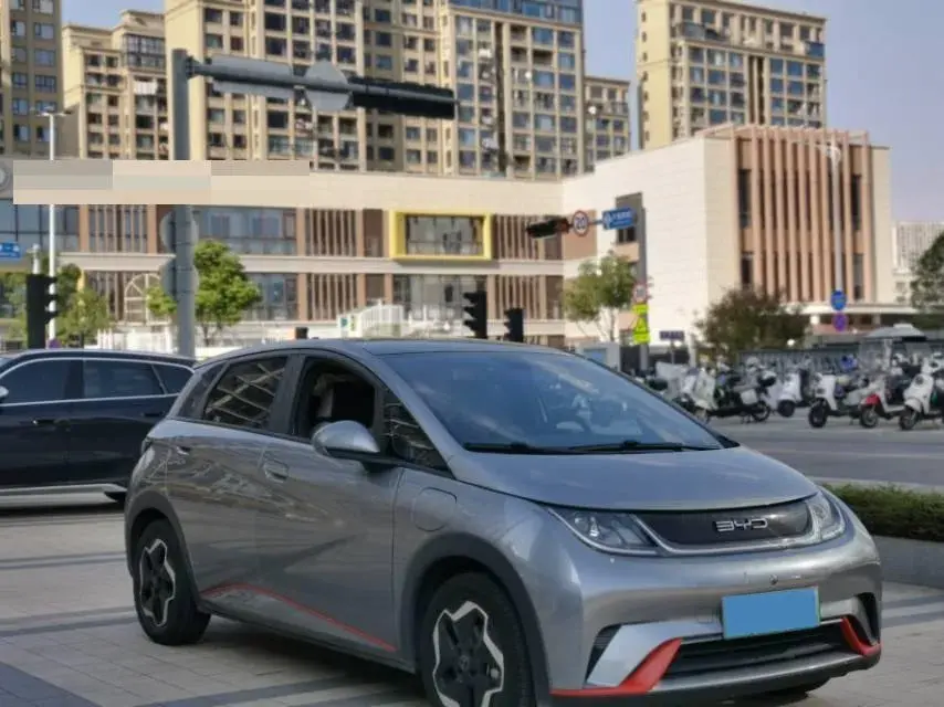 2021 BYD DOLPHIN thumbnail 3