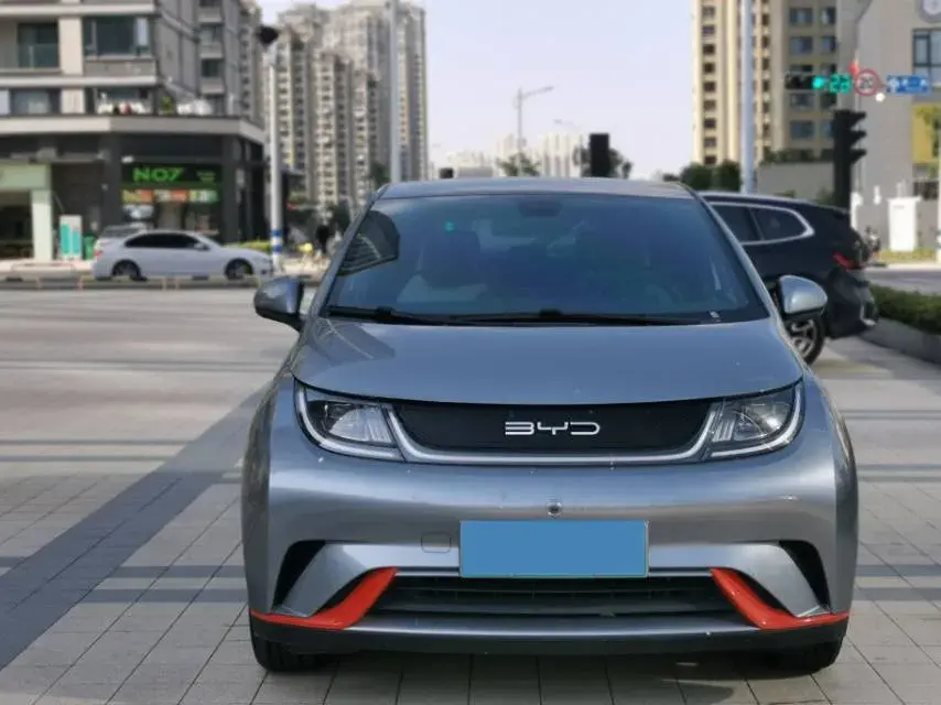 2021 BYD DOLPHIN thumbnail 2