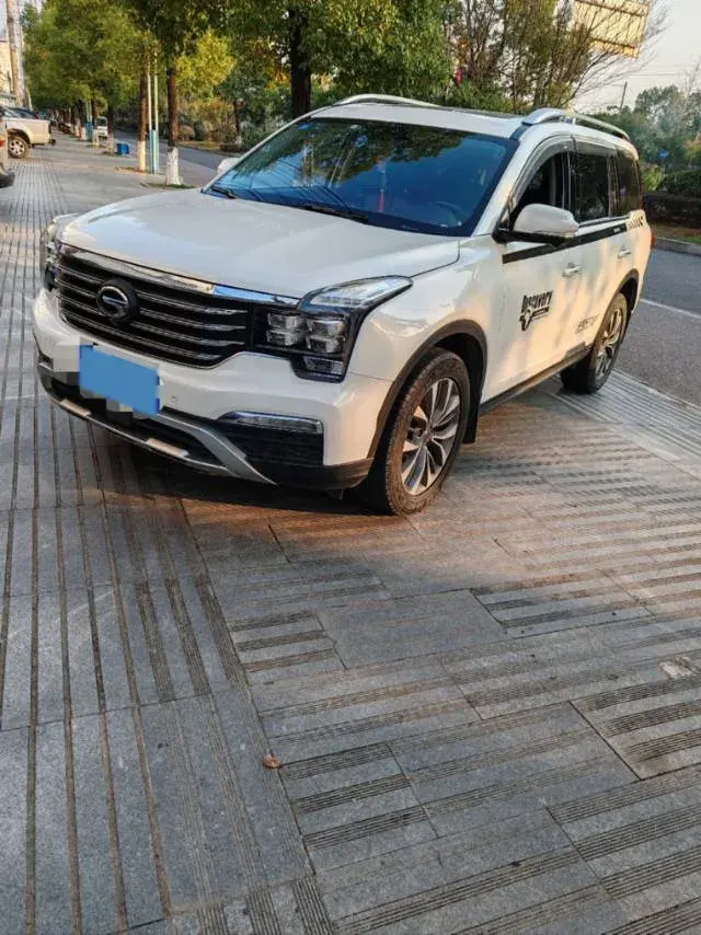 2017 GAC Trumpchi GS8 2.0T 201HP L4 6AT