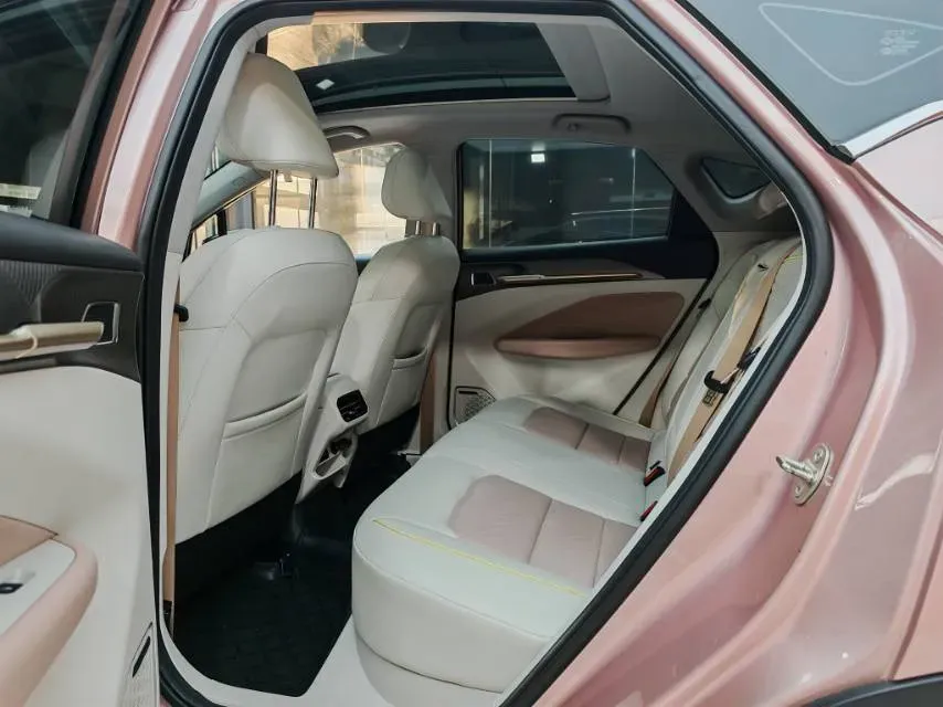 2022 Geometry M6 BEV 70KWH,autocango,china used car exporter,china ev exporter,chinese used car exporter,chinese used ev exporter