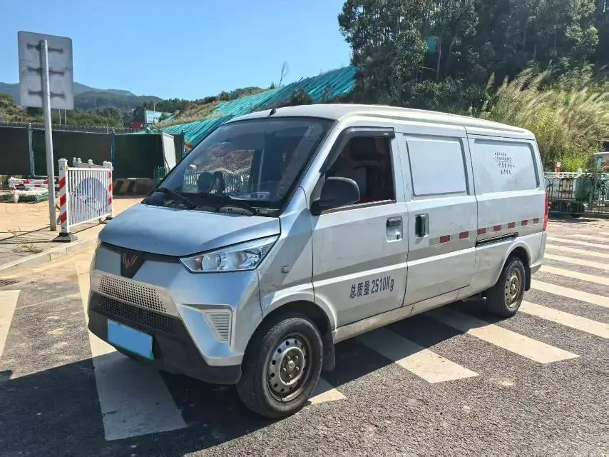 2020 WuLing EV50 BEV 41.86KWH