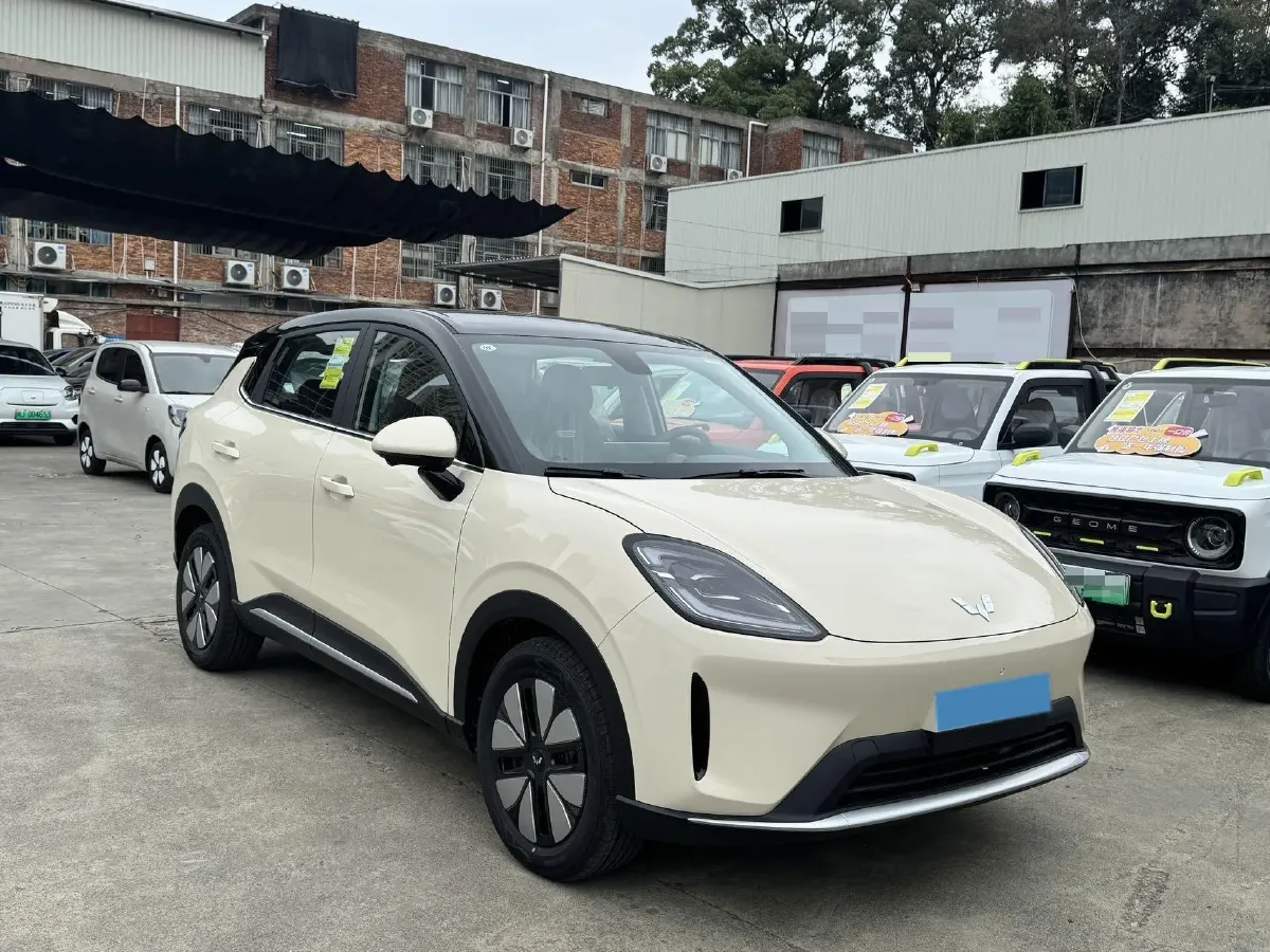 2025 WuLing BinGuo S BEV,autocango,china used car exporter,china ev exporter,chinese used car exporter,chinese used ev exporter