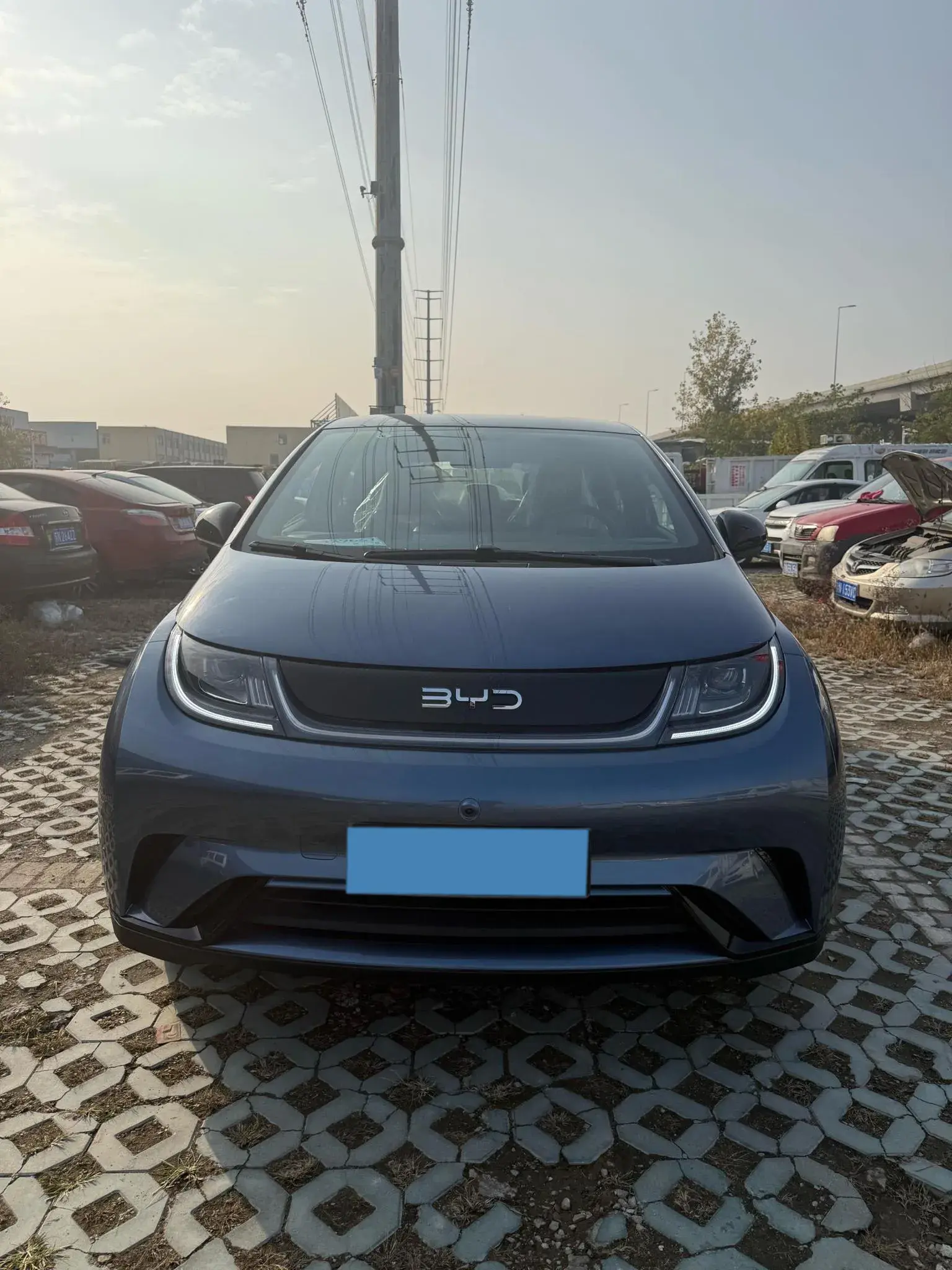 2025 BYD DOLPHIN thumbnail 3