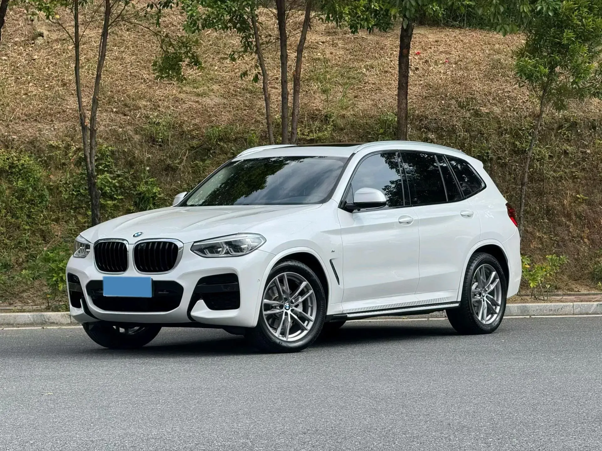 2020 BMW X3 view 1