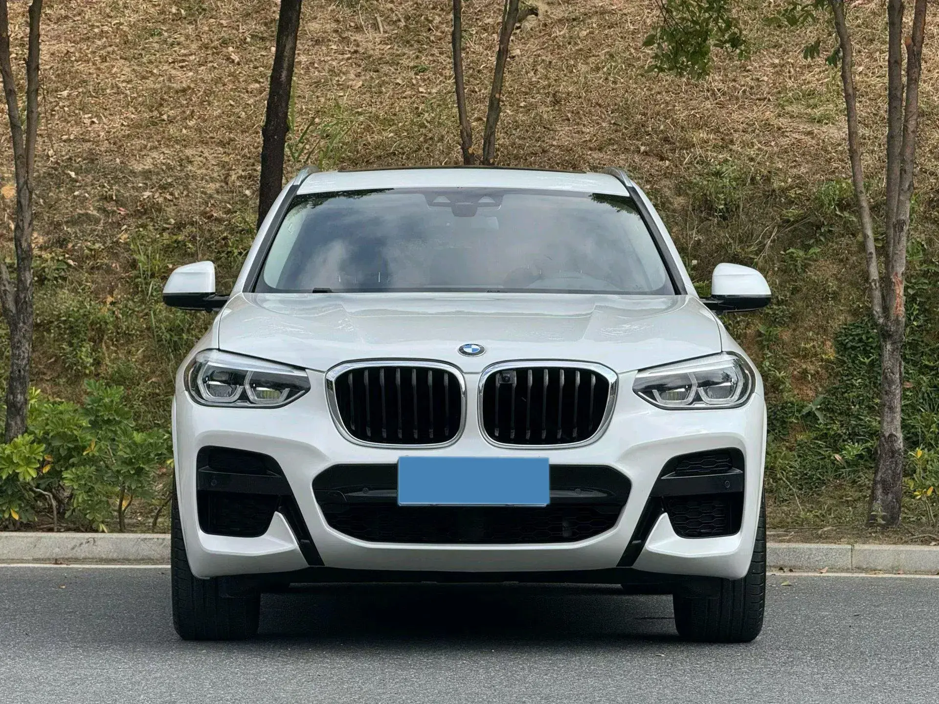 2020 BMW X3 thumbnail 3