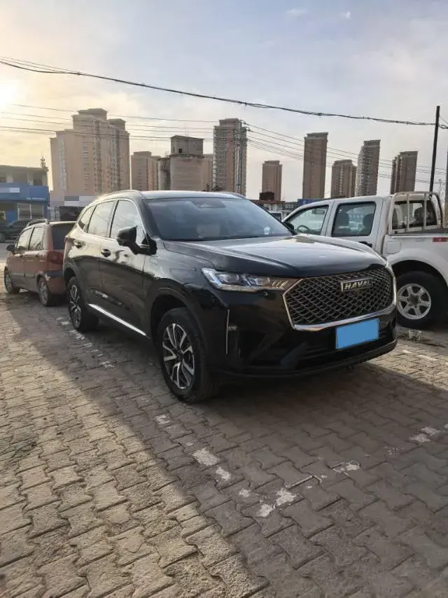 2022 HAVAL H6 thumbnail 2