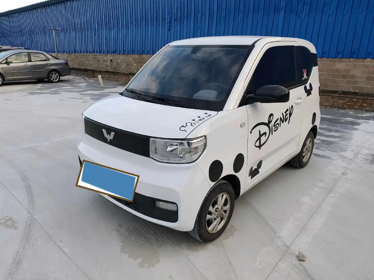 2020 WuLing HongGuang MINI EV BEV 9KWH