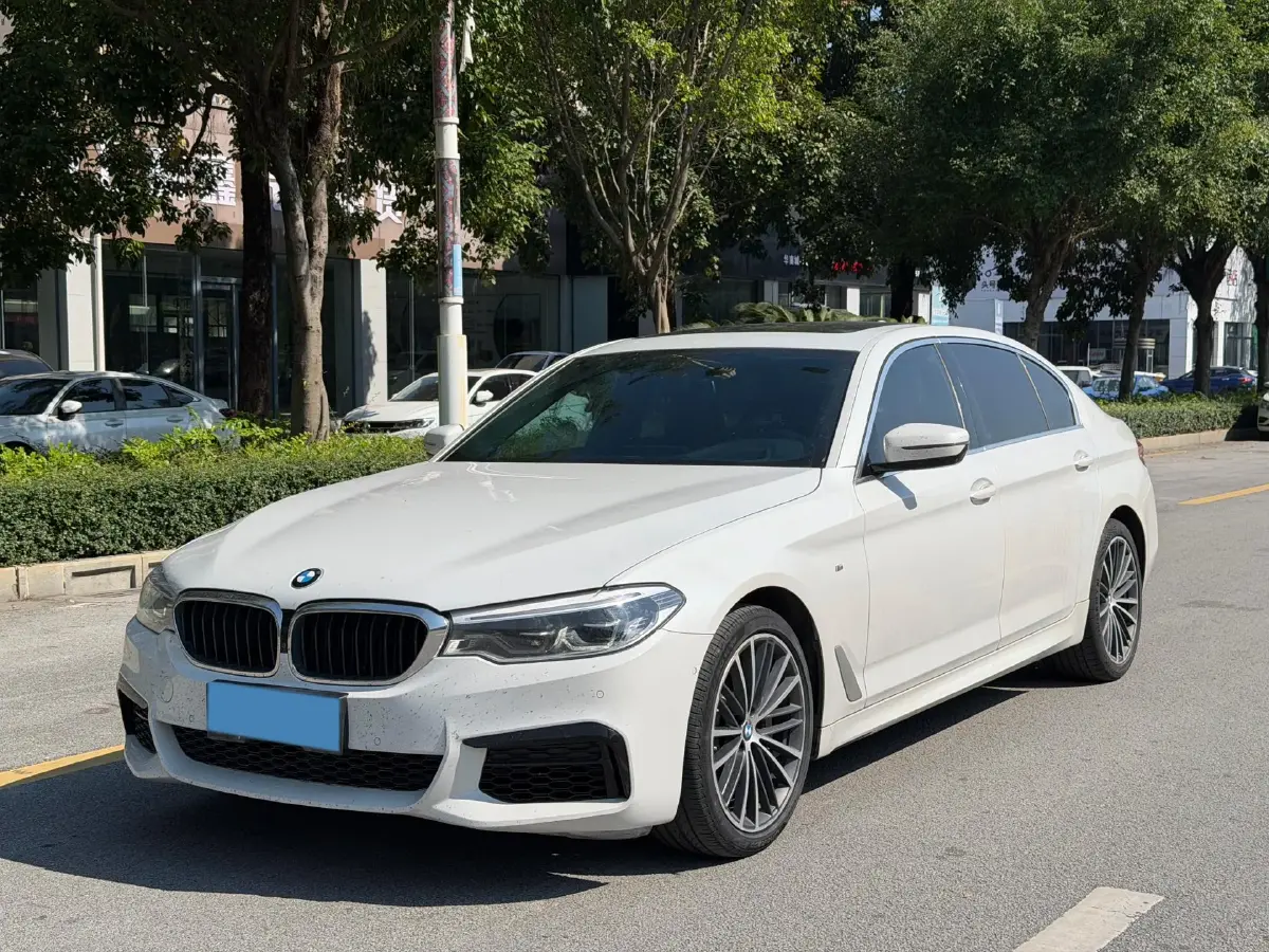 2020 BMW 5 Series 2.0T 252HP L4 8AT