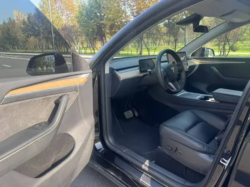 2021 TESLA MODEL thumbnail 4