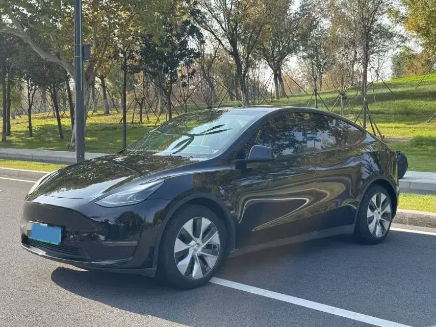 2021 TESLA MODEL view 1