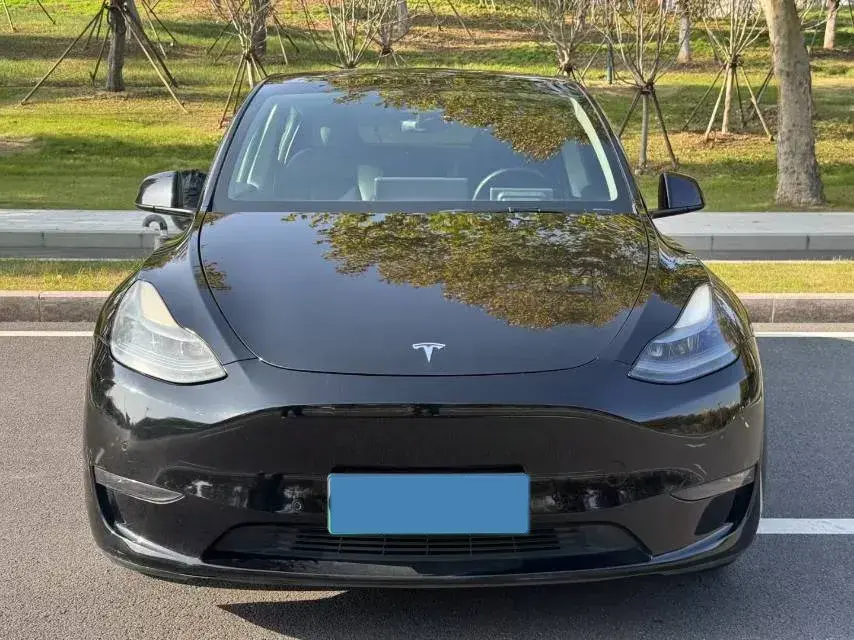 2021 TESLA MODEL thumbnail 2