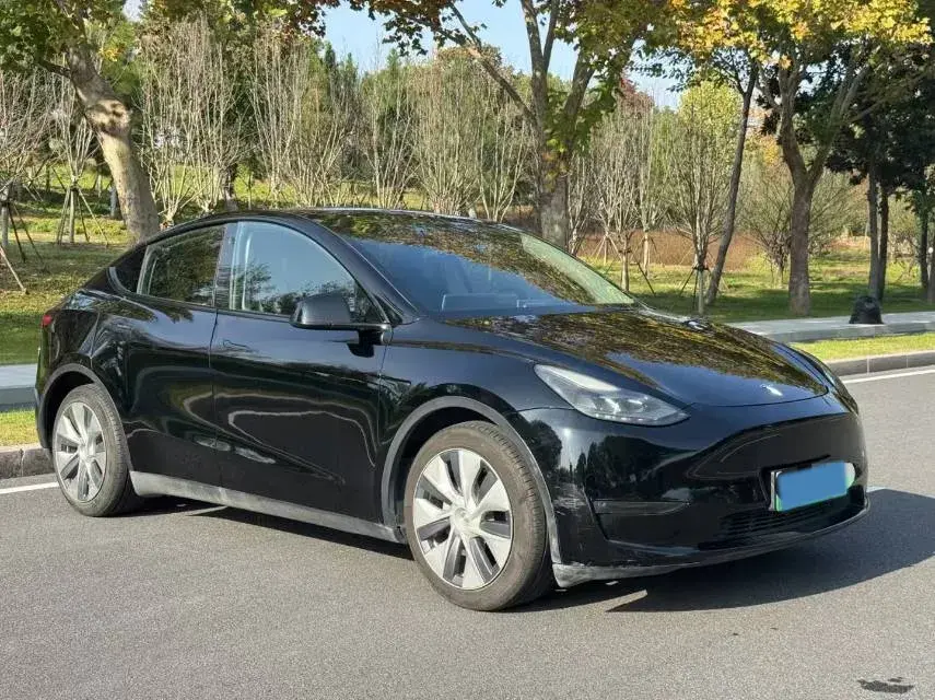2021 TESLA MODEL thumbnail 3