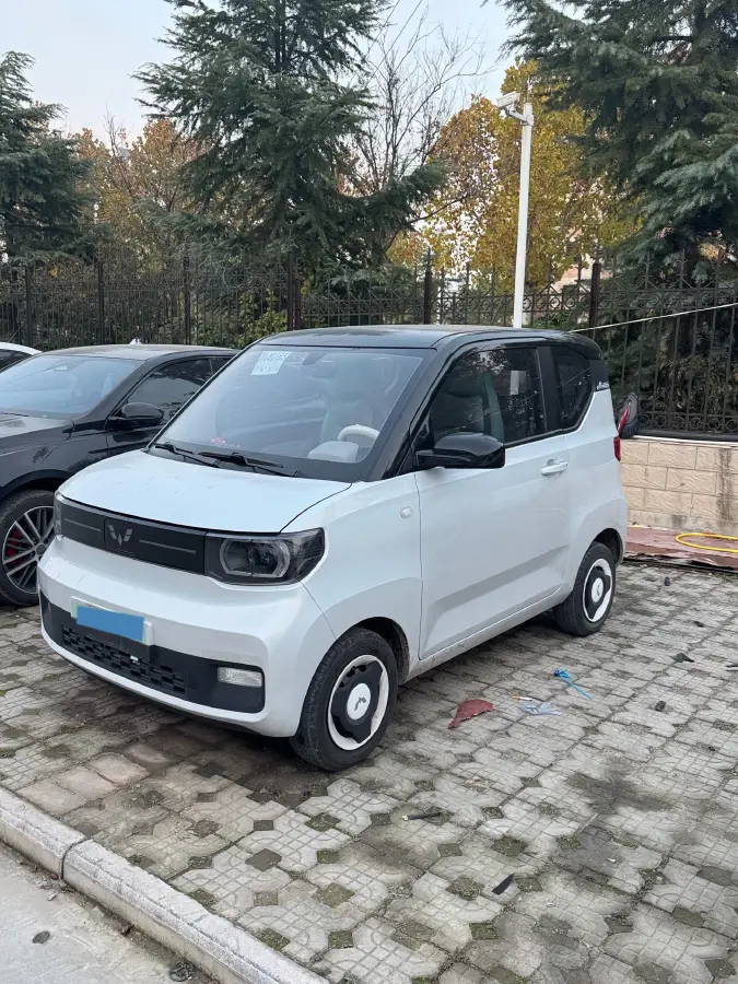 2021 WuLing HongGuang MINI EV BEV 13.8KWH
