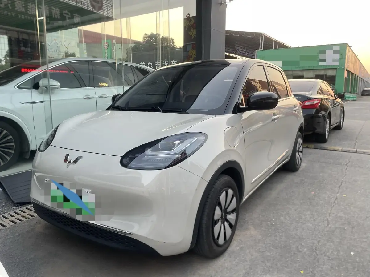 2024 WuLing BinGuo BEV 31.9KWH
