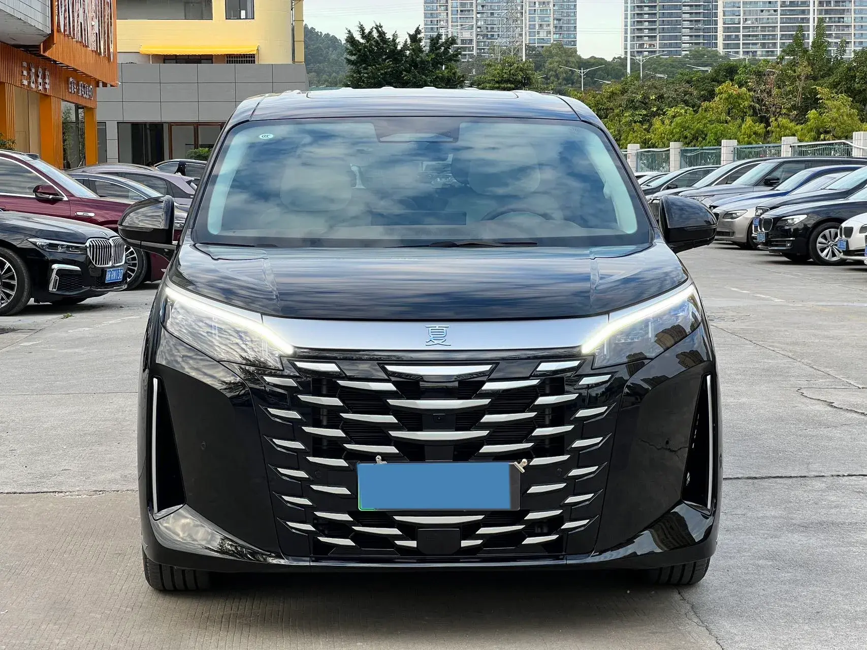 2025 BYD XIA thumbnail 2