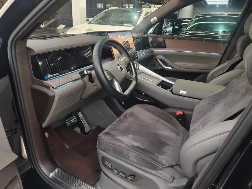 2025 DENZA DENZAN9 thumbnail 3